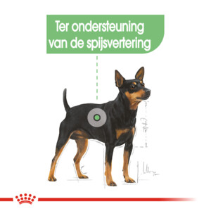 Royal Canin Hondenvoer Droog Digestive Care Mini 1 kg