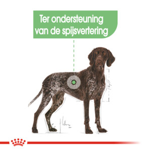 Royal Canin Hondenvoer Droog Digestive Care Maxi 3 kg