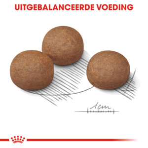 Royal Canin Hondenvoer Droog Digestive Care Maxi 3 kg