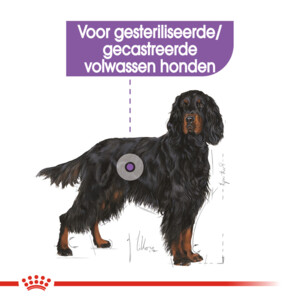Royal Canin Hondenvoer Droog Sterilised Maxi 3 kg
