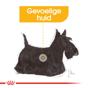 Royal Canin Hondenvoer Droog Dermacomfort Mini 1 kg