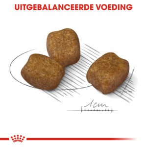 Royal Canin Hondenvoer Droog Dental Care Mini 1 kg