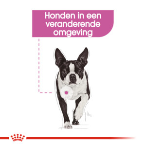 Royal Canin Hondenvoer Droog Relax Care Mini 8 kg