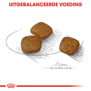 Royal Canin Hondenvoer Droog Urinary Care Mini 8 kg