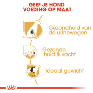 Royal Canin Hondenvoer Droog Bichon Frise Adult 500 gr