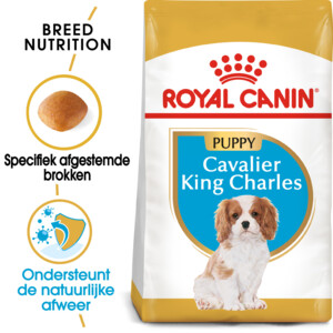 6x Royal Canin Hondenvoer Droog Cavalier King Charles Puppy 1,5 kg