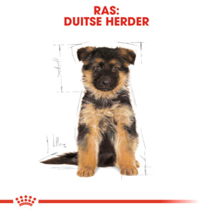 Royal Canin Hondenvoer Droog German Shepherd Puppy 1 kg