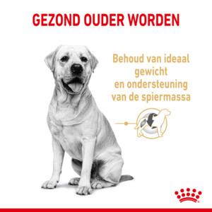 Royal Canin Hondenvoer Droog Labrador Retriever 5+ 3 kg
