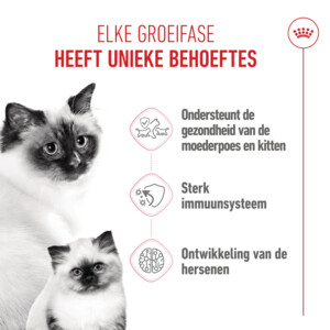 Royal Canin Kattenvoer Droog Mother & Babycat 10 kg