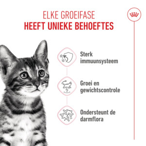 6x Royal Canin Kattenvoer Sterilised Kitten 2 kg