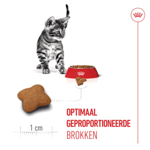 6x Royal Canin Kattenvoer Sterilised Kitten 2 kg