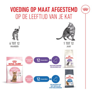 6x Royal Canin Kattenvoer Sterilised Kitten 2 kg