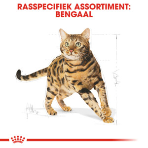 Royal Canin Kattenvoer Droog Bengal Adult 10 kg