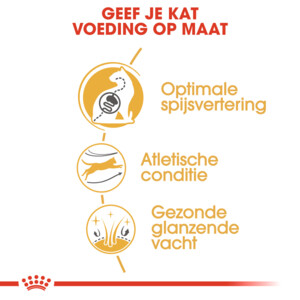 Royal Canin Kattenvoer Droog Bengal Adult 10 kg