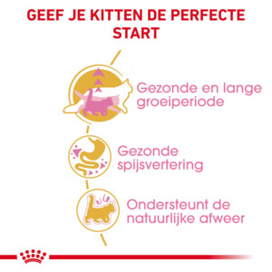 Royal Canin Kattenvoer Droog Maine Coon Kitten 400 gr