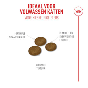 Royal Canin Kattenvoer Droog Fussy Exigent 10 kg
