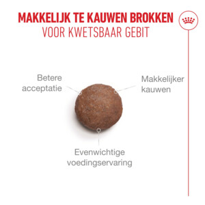 Royal Canin Kattenvoer Droog Ageing 11+ 400 gr