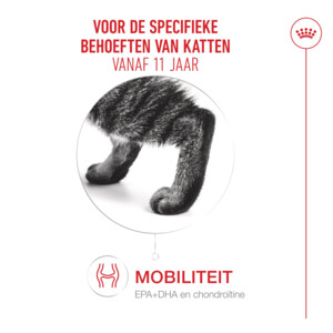 Royal Canin Kattenvoer Droog Ageing 11+ 2 kg