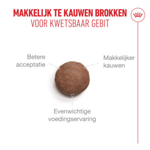Royal Canin Kattenvoer Droog Ageing Sterilised 11+ 400 gr