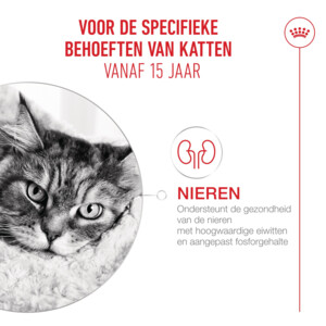 Royal Canin Kattenvoer Droog Ageing 15+ 400 gr