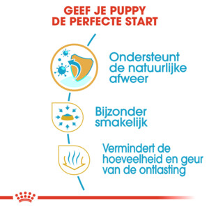 6x Royal Canin Hondenvoer Droog Chihuahua Puppy 1,5 kg