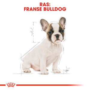 4x Royal Canin Hondenvoer Droog French Bulldog Puppy 3 kg