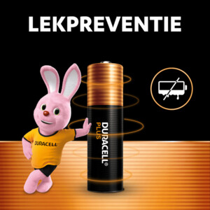 2x Duracell Alkaline Batterijen Mainline Bst AAA - 8.88 euro