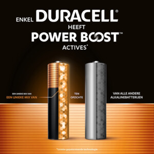 Duracell Alkaline Batterijen Mainline Bst AA - 4.49 euro