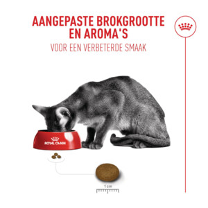 Royal Canin Kattenvoer Droog Fussy Exigent 4 kg