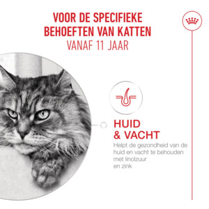 Royal Canin Kattenvoer Droog Ageing 11+ 4 kg