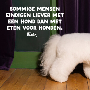 Edgard & Cooper Hondenvoer Droog Lam Medium 1 kg