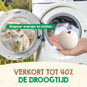 Mr. Green Mind Wasdrogerballen 100% Wol - 13.95 euro