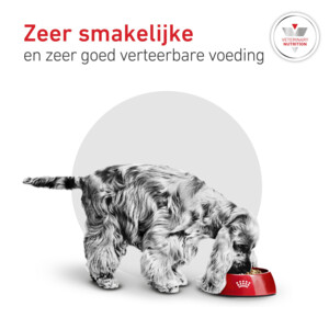 Royal Canin Hondenvoer Droog Glycobalance Small Dogs 4 kg