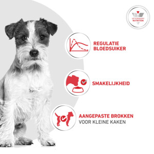 Royal Canin Hondenvoer Droog Glycobalance Small Dogs 8 kg