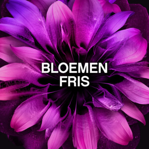 6x Lenor In-Wash Geurbooster Bloemen Fris 19 wasbeurten - 37.85 euro
