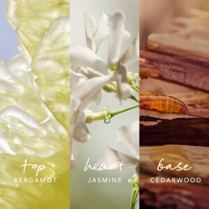 Mexx Eau de Parfum For Her Inspired Nature - 24.79 euro