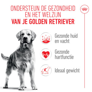 Royal Canin Golden Retriever Adult Hondenvoer 15 kg