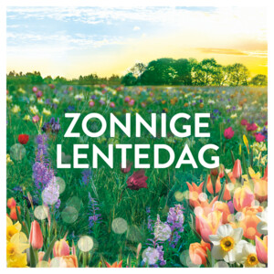 8x Lenor Wasverzachter Fresh Air Zonnige lentedag 50 Wasbeurten - 49.69 euro