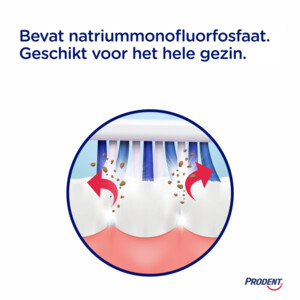 12x Prodent Tandpasta Fresh Mint - 17.55 euro
