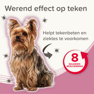 Beaphar Medicinale Halsband hond Tot 8 kg 