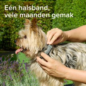 Beaphar Medicinale Halsband hond Vanaf 8 kg 