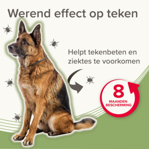 Beaphar Medicinale Halsband hond Vanaf 8 kg 