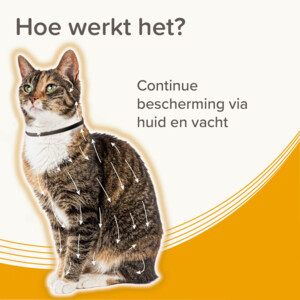 Beaphar Medicinale Halsband Kat 