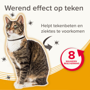 Beaphar Medicinale Halsband Kat 