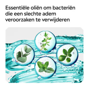 Listerine Mondwater Coolmint - 6.25 euro