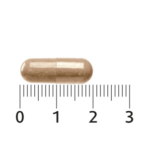 Lucovitaal SRI 81 Shatavari - 29.99 euro