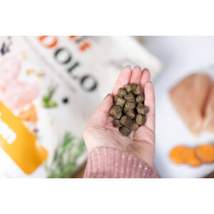YDOLO Healthy & Pure Hondenvoer Kip 2,5 kg