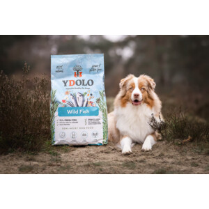 YDOLO Healthy & Pure Hondenvoer  Wilde Vis 10 kg