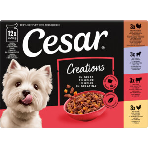 Cesar Hondenvoer Nat Pouch Creations Gelein Mix