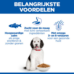 Hill's Science Plan Hondenvoer Droog Adult Hypoallergenic Large Zalm 14 kg